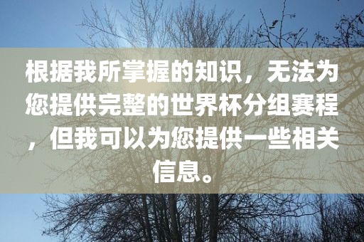 根据我所掌握的知识，无法为您提供完整的世界杯分组赛程，但我可以为您提供一些相关信息。