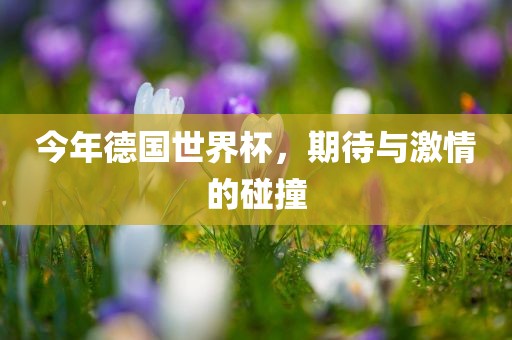 今年德国世界杯，期待与激情的碰撞