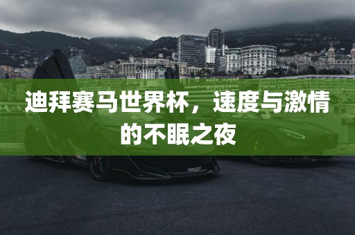 迪拜赛马世界杯，速度与激情的不眠之夜