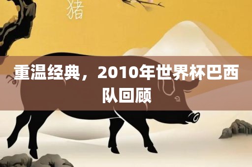 重温经典，2010年世界杯巴西队回顾