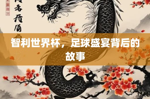 智利世界杯，足球盛宴背后的故事