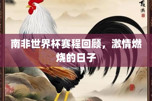 南非世界杯赛程回顾，激情燃烧的日子