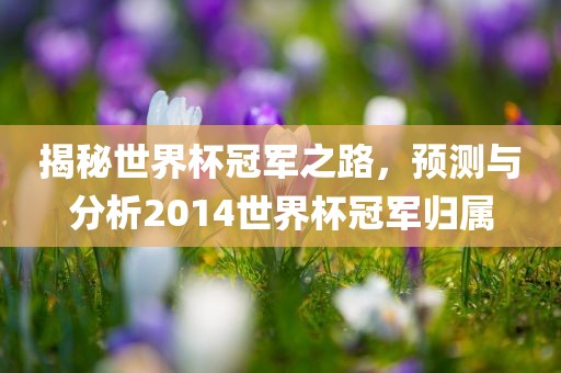 揭秘世界杯冠军之路，预测与分析吉安市靖泰电力工程有限公司2014世界杯冠军归属
