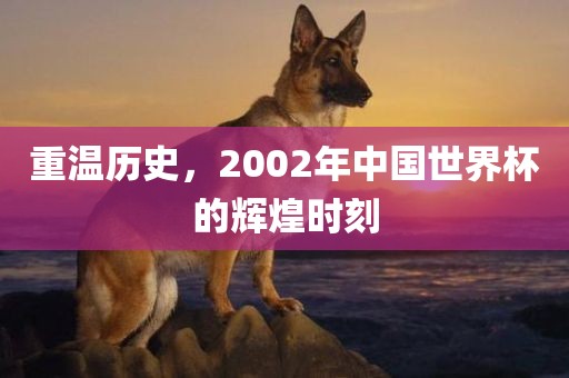 重温历史，2002年中国世界杯的辉煌时刻