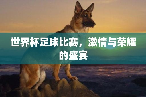 世界杯足球比赛 第2页