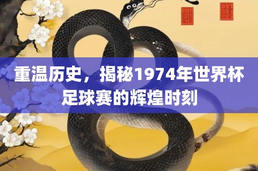 世界杯足球赛 第3页