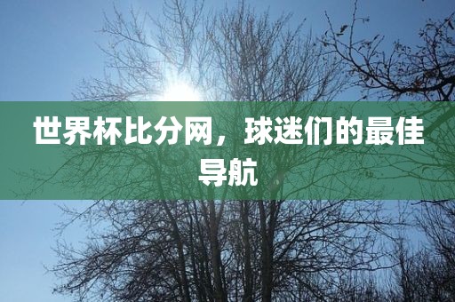 世界杯比分网，球迷们的最佳导航