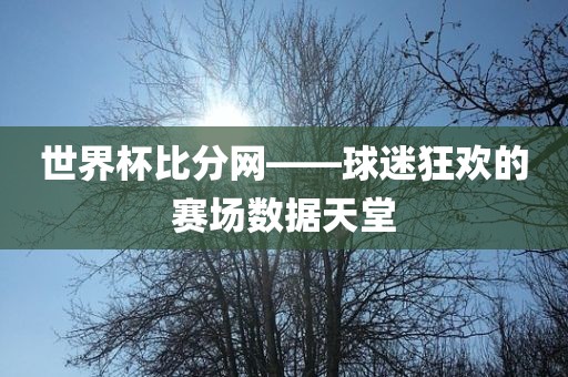 世界杯比分网——球迷狂欢的赛场数据天堂