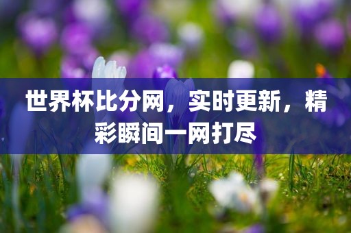 世界杯比分网，实时更新，精彩瞬间一网打尽