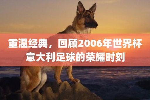 重温经典，回顾2006年世界杯意大利足球的荣耀时刻