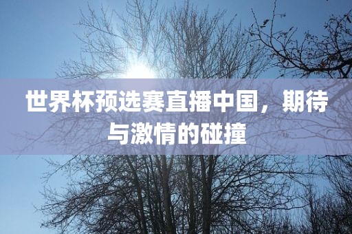 世界杯预选赛直播中国，期待与激情的碰撞