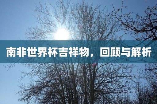 南非世界杯吉祥物，回顾与解析