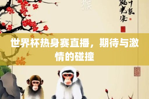 世界杯热身赛直播，期待与激情的碰撞