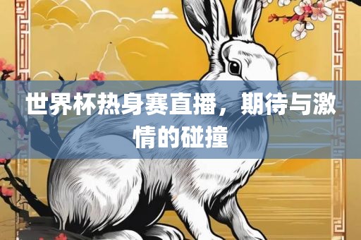 世界杯热身赛直播，期待与激情的碰撞