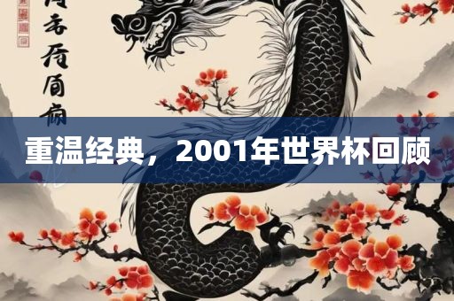 重温经典，2001年世界杯回顾