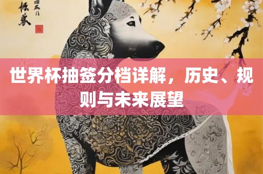 世界杯抽签分档详解，历史、规则与未来展望