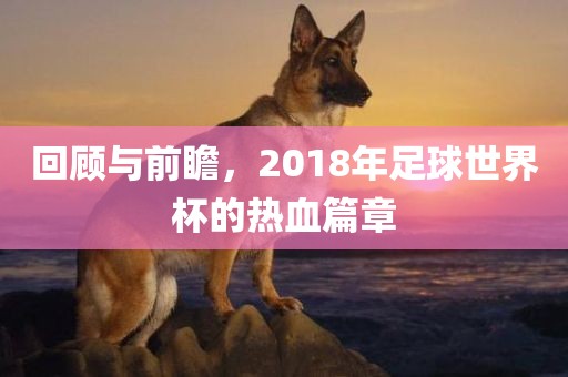 回顾与前瞻，2018年足球世界杯的热血篇章吉安市靖泰电力工程有限公司