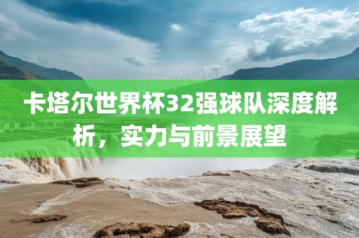 卡塔尔世界杯32强球队深度解析，实力与前景展望