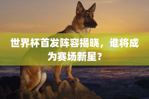 世界杯首发阵容揭晓，谁将成为赛场新星？