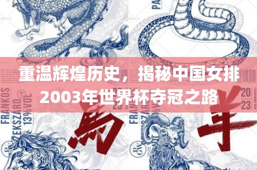 重温辉煌历史，揭秘中国女排2003年世界杯夺冠之路