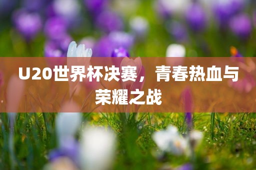 U20世界杯决赛，青春热血与荣耀之战