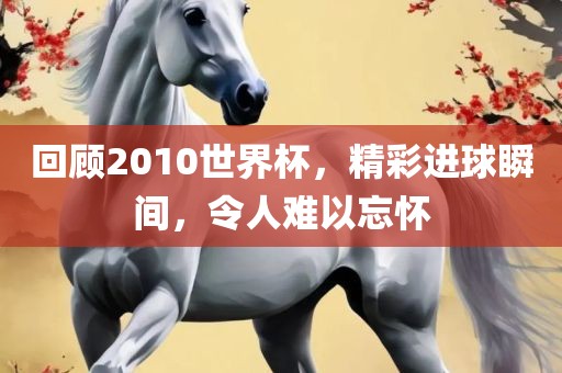 回顾2010世界杯，精彩进球瞬间，令人难以忘怀