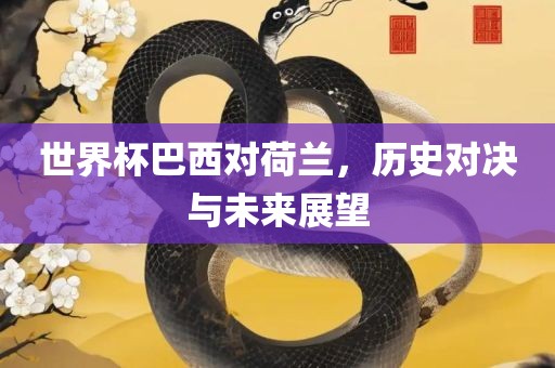 世界杯巴西对荷兰，历史对决与未来展望