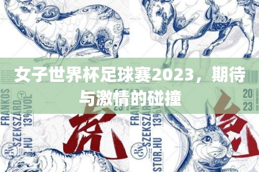 女子世界杯足球赛2023，期待与激情的碰撞吉安市靖泰电力工程有限公司