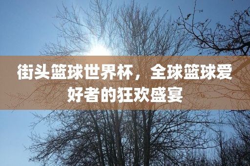 街头篮球世界杯，全球篮球爱好者的狂欢盛宴