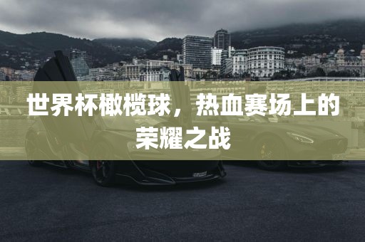 世界杯橄榄球，热血赛场上的荣耀之战