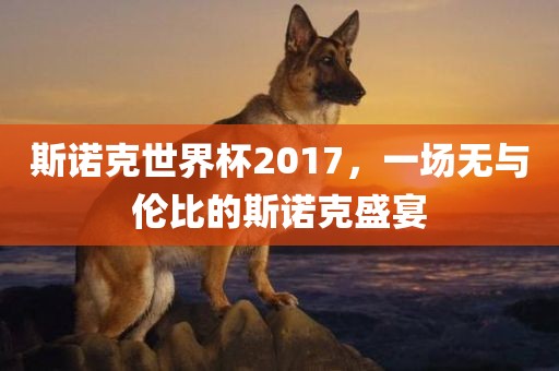 斯诺克世界杯2017，一场无与伦比的斯诺克盛宴