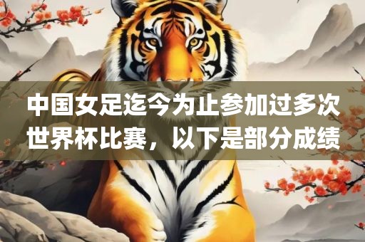 中国女足迄今为止参加过多次世界杯比赛，以下是部分成绩