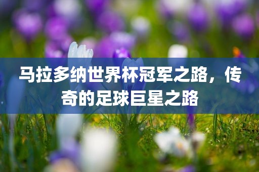 马拉多纳世界杯冠军之路，传奇的足球巨星之路