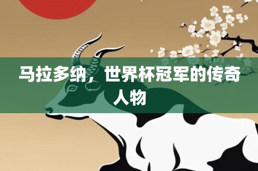 马拉多纳，世界杯冠军的传奇人物
