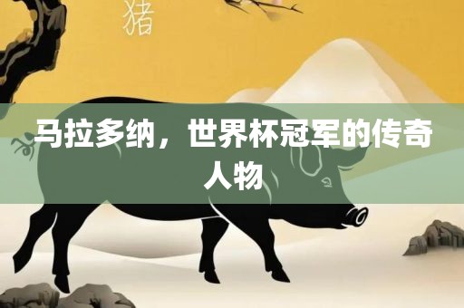 马拉多纳，世界杯冠军的传奇人物