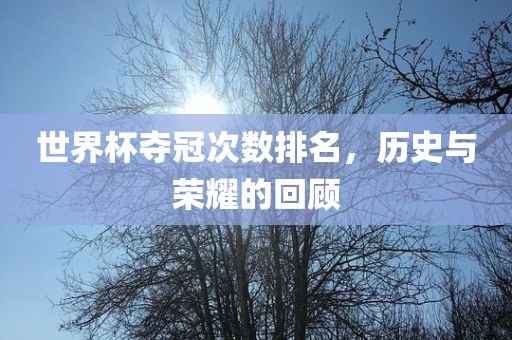世界杯夺冠次数排名，历史与荣耀的回顾