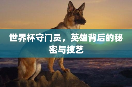 世界杯守门员，英雄背后的秘密与技艺
