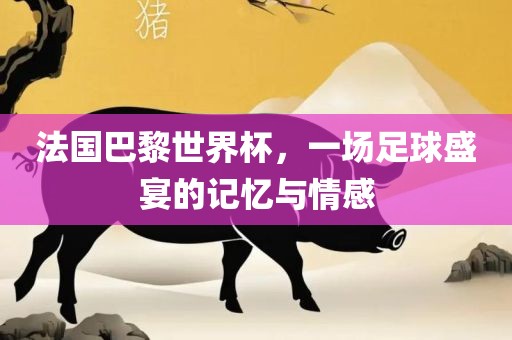 法国巴黎世界杯，一场足球盛宴的记忆与情感