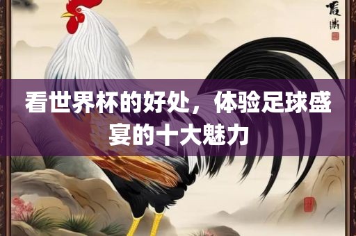 看世界杯的好处，体验足球盛宴的十大魅力