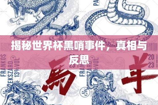 揭秘世界杯黑哨事件，真相与反思