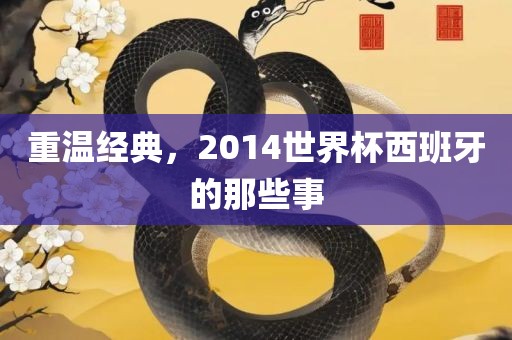 重温经典，2014世界杯西吉安市靖泰电力工程有限公司班牙的那些事