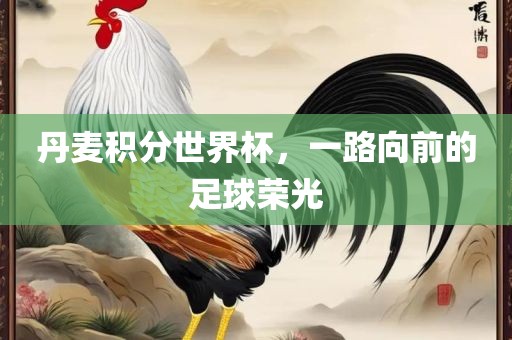丹麦积分世界杯，一路向前的足球荣光