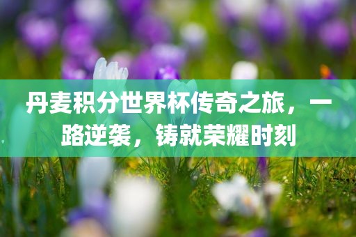 丹麦积分世界杯传奇之旅，一路逆袭，铸就荣耀时刻