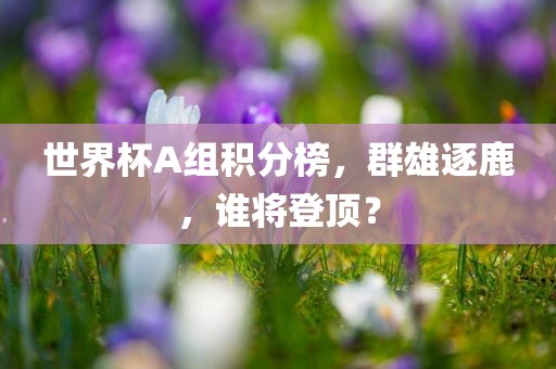 世界杯A组积分榜，群雄逐鹿，谁将登顶？