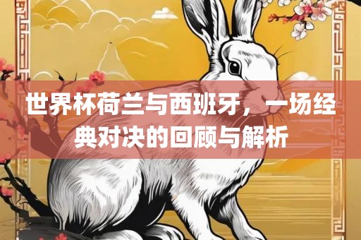 世界杯荷兰与西班牙，一场经典对决的回顾与解析吉安市靖泰电力工程有限公司