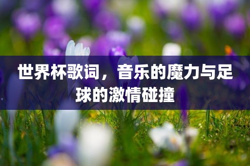 世界杯歌词，音乐的魔力与足球的激情碰撞