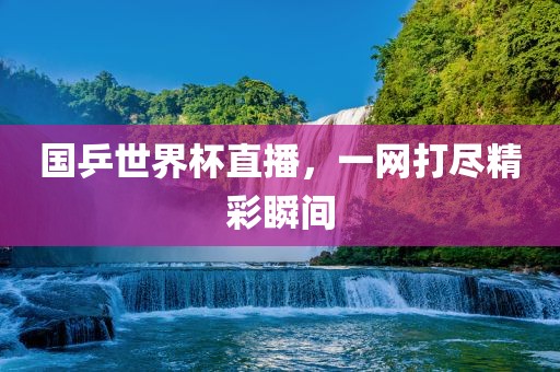 国乒世界杯直播，一网打尽精彩瞬间