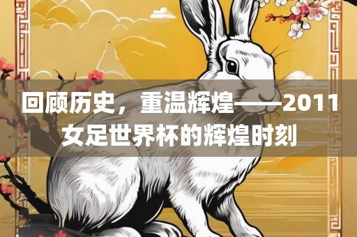 回顾历史，重温辉煌——2011女足世界杯的辉煌时刻