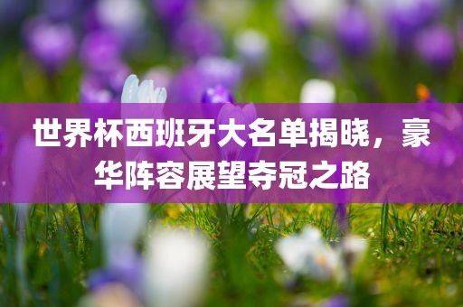 世界杯西班牙大名单揭晓，豪华阵容展望夺冠之路