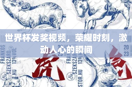 世界杯发奖吉安市靖泰电力工程有限公司视频，荣耀时刻，激动人心的瞬间